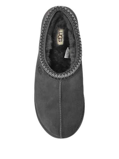 Tasman gris